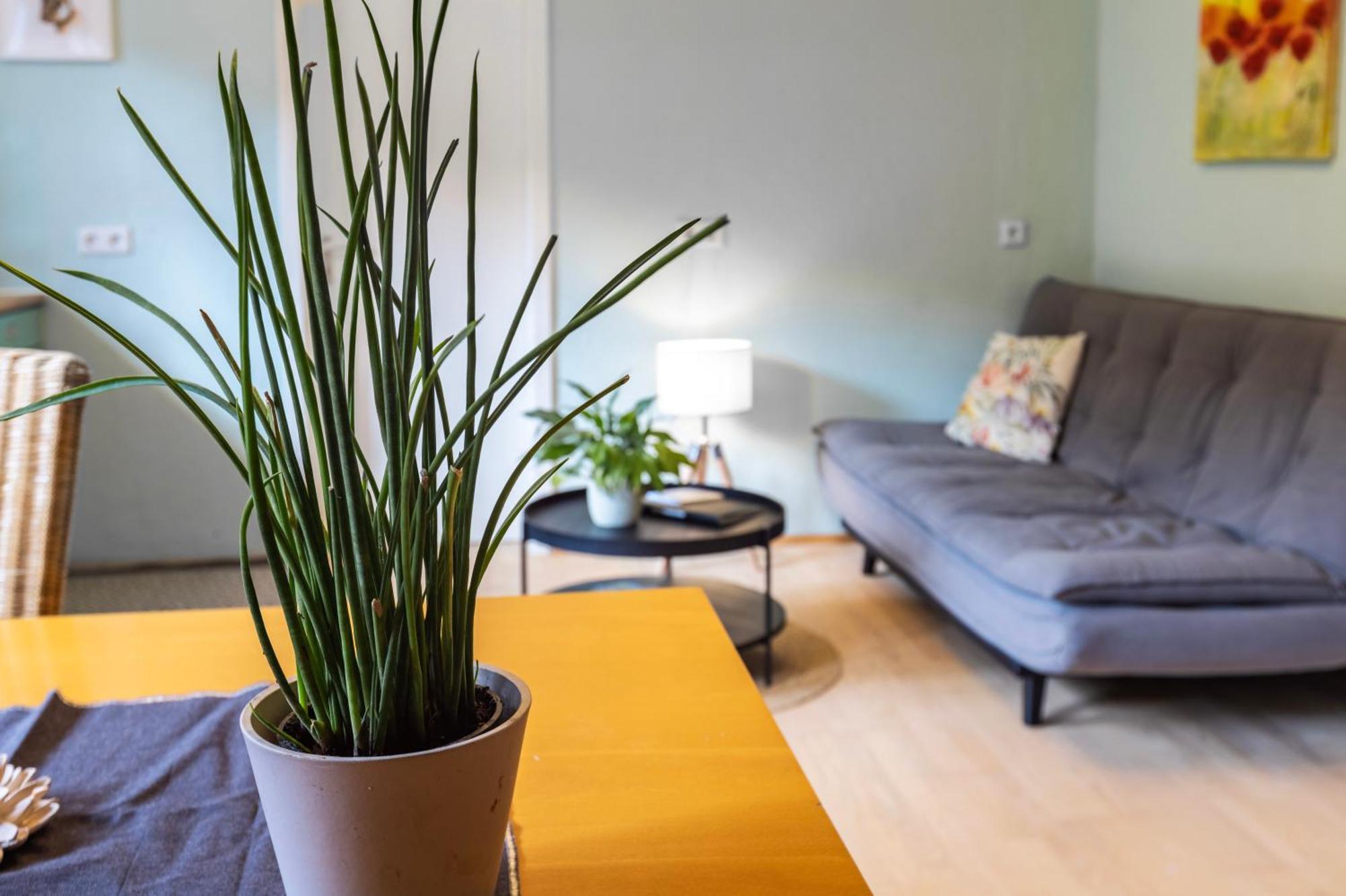 Ferienwohnung Karker 1 Radolfzell am Bodensee Ngoại thất bức ảnh